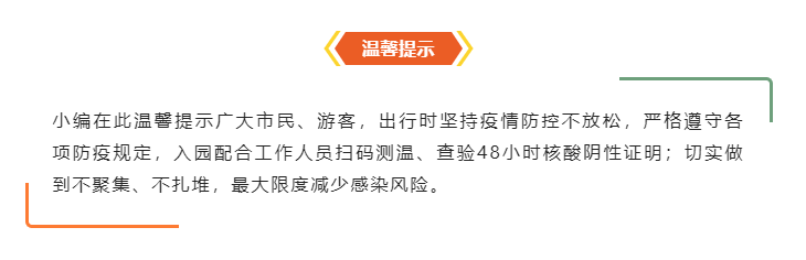 全息通信、低空感知 6G解锁网络新技能