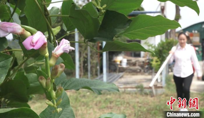 【十年@每一个奋斗的你】 “90后”南京姑娘成“新农人”：让青春在田野间闪耀休闲区蓝鸢梦想 - Www.slyday.coM