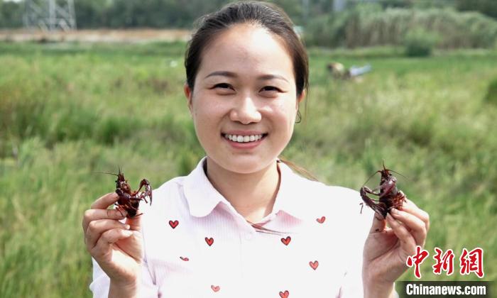 【十年@每一个奋斗的你】 “90后”南京姑娘成“新农人”：让青春在田野间闪耀休闲区蓝鸢梦想 - Www.slyday.coM