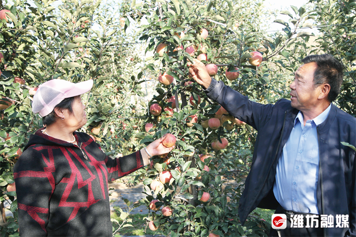 厉害了！这里的苹果20元一个，你吃过吗？休闲区蓝鸢梦想 - Www.slyday.coM