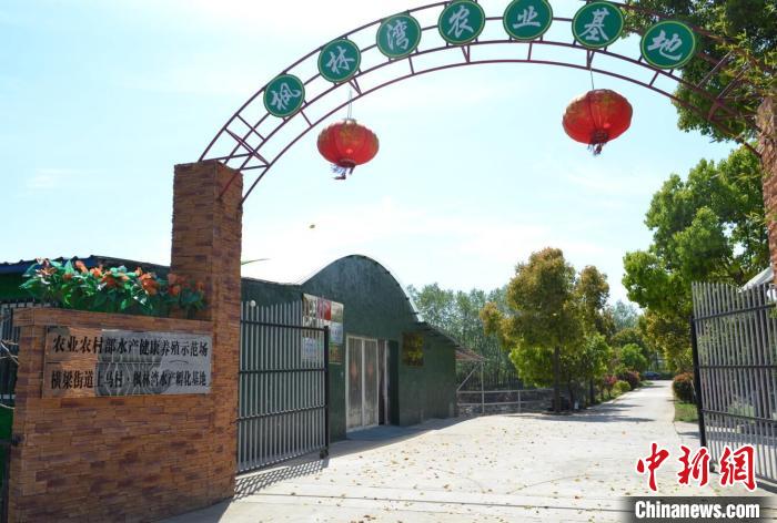 【十年@每一个奋斗的你】 “90后”南京姑娘成“新农人”：让青春在田野间闪耀休闲区蓝鸢梦想 - Www.slyday.coM