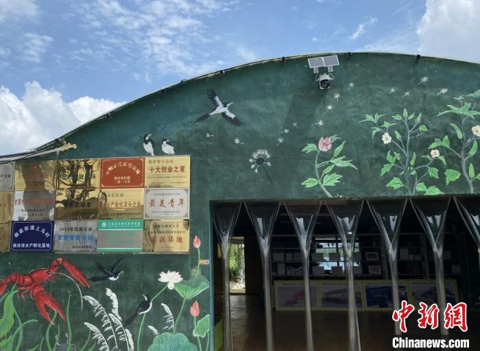 【十年@每一个奋斗的你】 “90后”南京姑娘成“新农人”：让青春在田野间闪耀休闲区蓝鸢梦想 - Www.slyday.coM