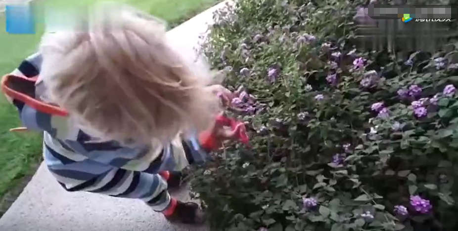 邓超被女儿的小字条感动到哭，这样温暖有爱的孩子是如何培养出来的？休闲区蓝鸢梦想 - Www.slyday.coM