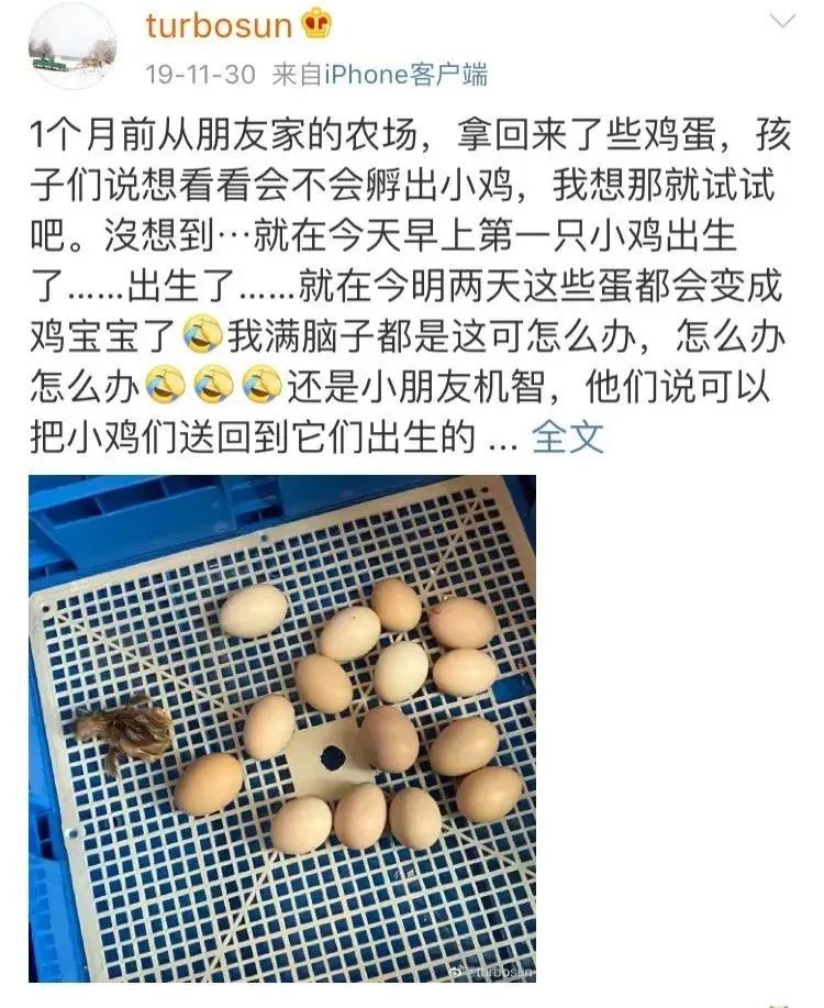 邓超被女儿的小字条感动到哭，这样温暖有爱的孩子是如何培养出来的？休闲区蓝鸢梦想 - Www.slyday.coM