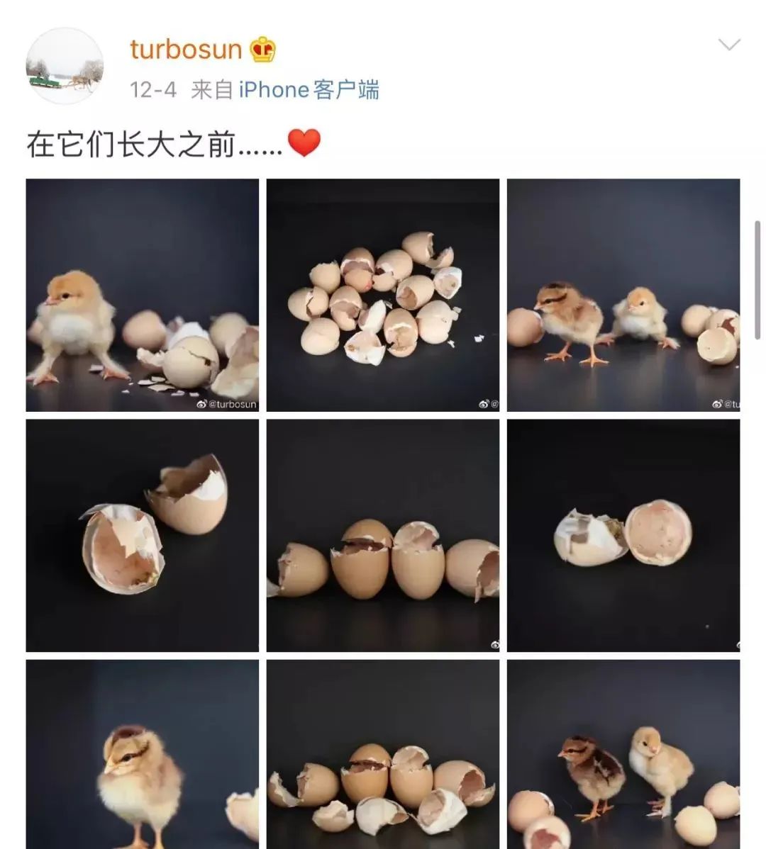 邓超被女儿的小字条感动到哭，这样温暖有爱的孩子是如何培养出来的？休闲区蓝鸢梦想 - Www.slyday.coM