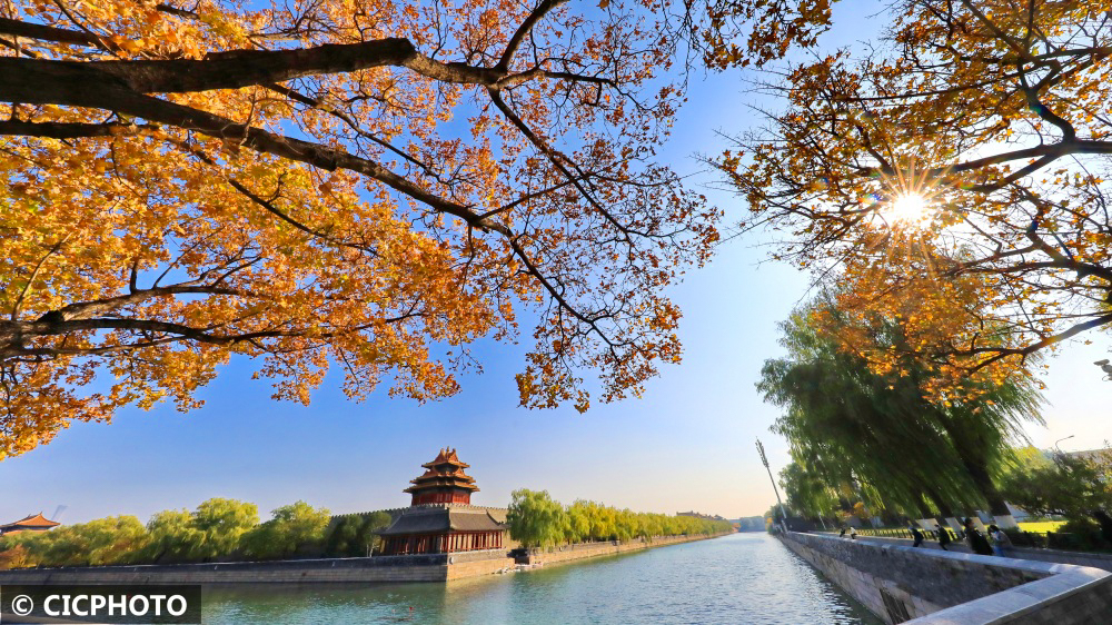 北京:故宫赏秋正当时|北京市|秋景|故宫_新浪新闻