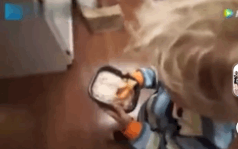 邓超被女儿的小字条感动到哭，这样温暖有爱的孩子是如何培养出来的？休闲区蓝鸢梦想 - Www.slyday.coM