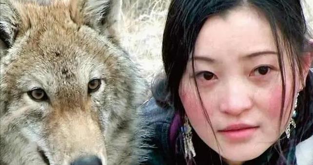 李微漪:养大一匹狼,送它重返狼群,4年后重逢却相见不相亲了|牧场|格林|狐狸|母狼|藏獒_新浪新闻