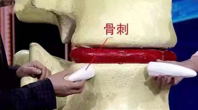 后背疼，别以为是累的，可能与多种病有关！一文读懂不同位置的疼痛信号休闲区蓝鸢梦想 - Www.slyday.coM