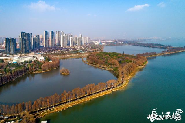 武汉东湖绿道:人和自然和谐共生之典范|东湖|武汉市|人和_新浪新闻