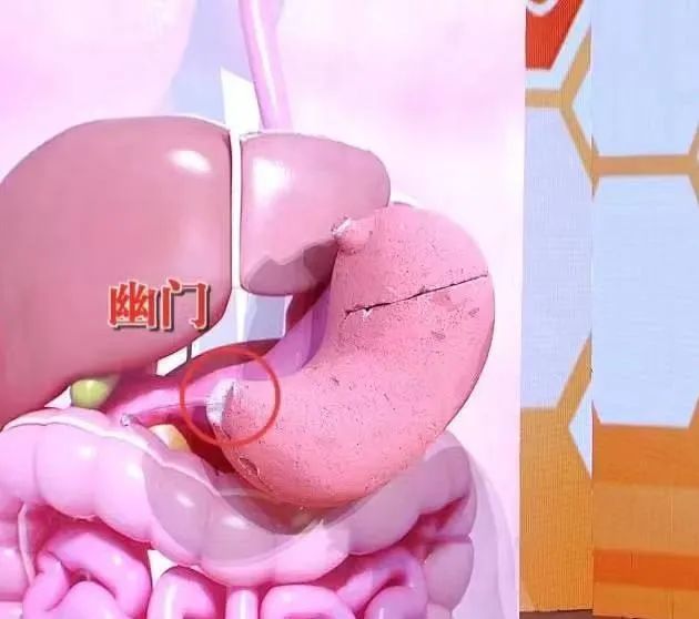 后背疼，别以为是累的，可能与多种病有关！一文读懂不同位置的疼痛信号休闲区蓝鸢梦想 - Www.slyday.coM