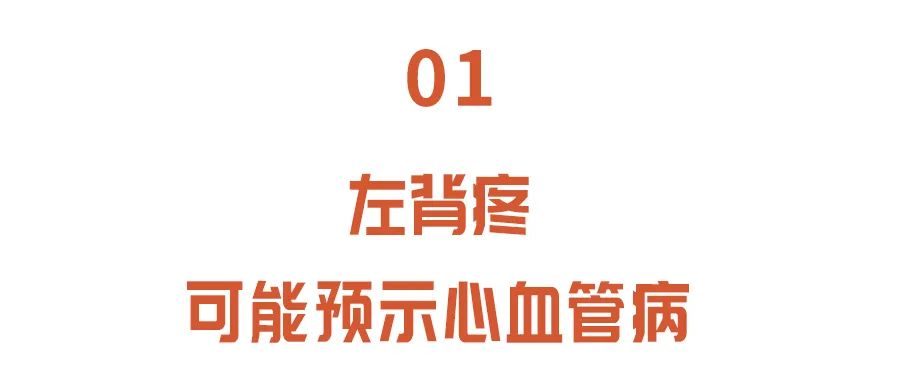 后背疼，别以为是累的，可能与多种病有关！一文读懂不同位置的疼痛信号休闲区蓝鸢梦想 - Www.slyday.coM