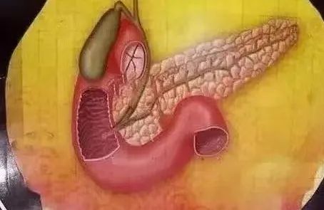 后背疼，别以为是累的，可能与多种病有关！一文读懂不同位置的疼痛信号休闲区蓝鸢梦想 - Www.slyday.coM