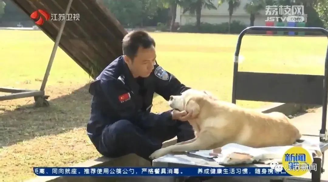 是庆生也是最后的告别！小虎，谢谢你来到这世界！休闲区蓝鸢梦想 - Www.slyday.coM