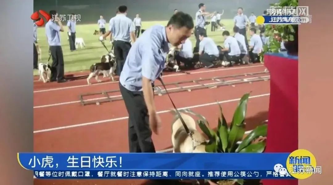 是庆生也是最后的告别！小虎，谢谢你来到这世界！休闲区蓝鸢梦想 - Www.slyday.coM