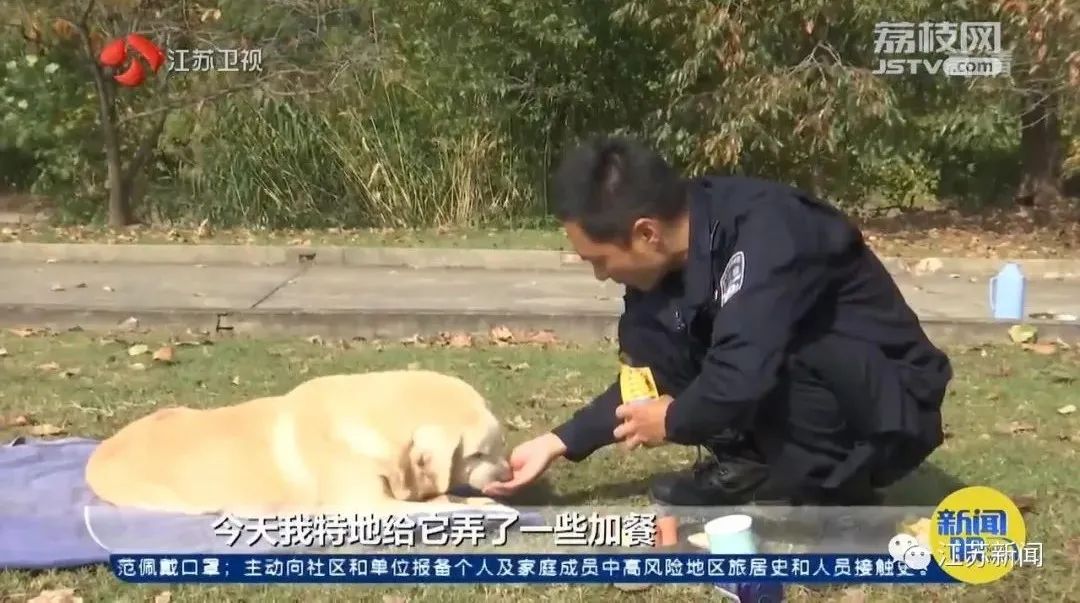 是庆生也是最后的告别！小虎，谢谢你来到这世界！休闲区蓝鸢梦想 - Www.slyday.coM