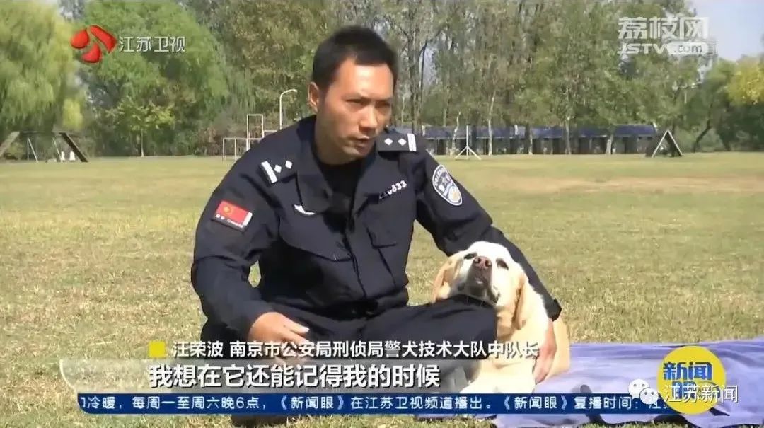 是庆生也是最后的告别！小虎，谢谢你来到这世界！休闲区蓝鸢梦想 - Www.slyday.coM