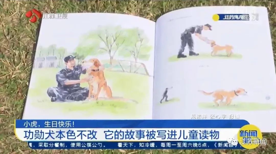 是庆生也是最后的告别！小虎，谢谢你来到这世界！休闲区蓝鸢梦想 - Www.slyday.coM