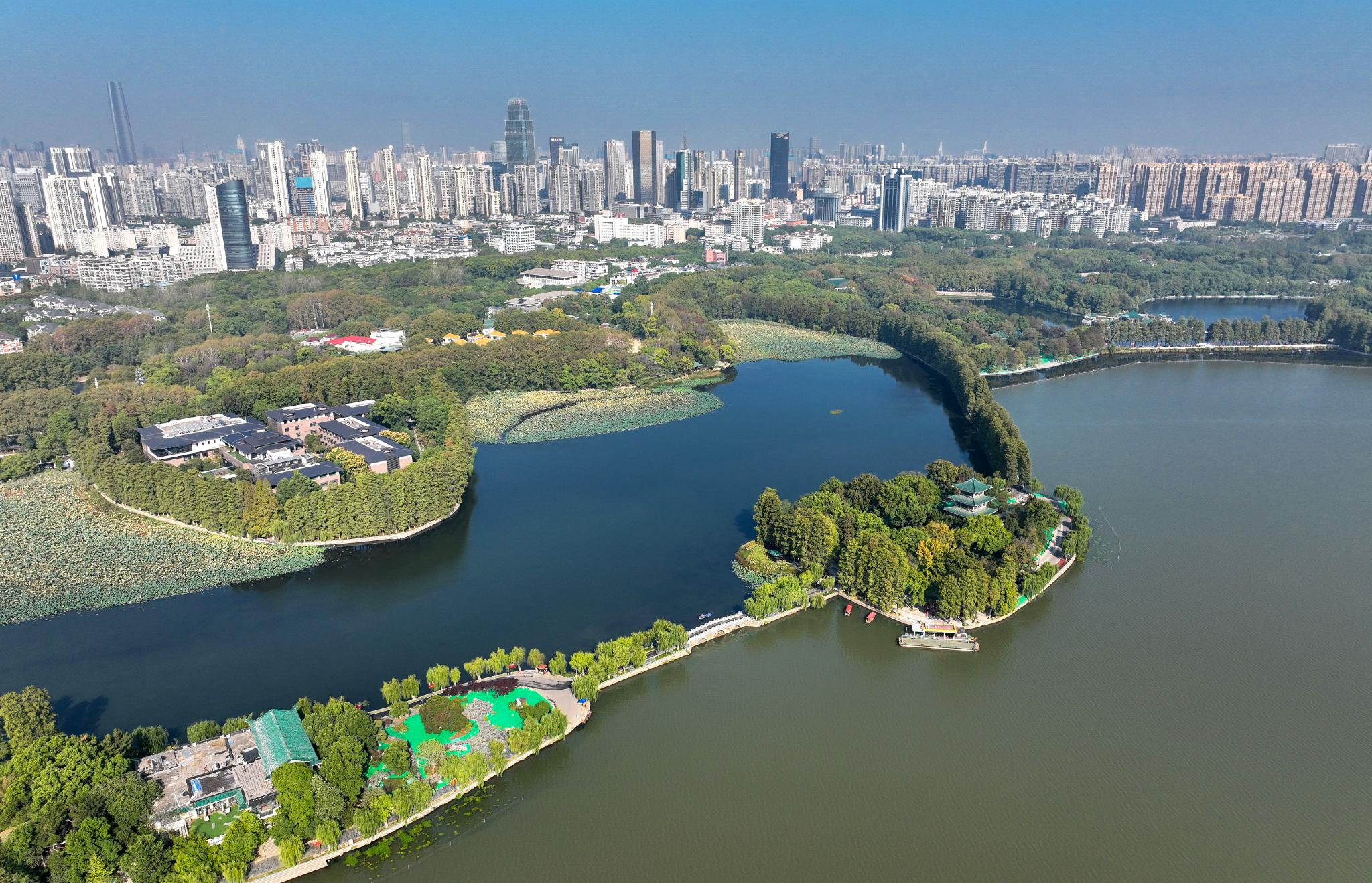 新华社记者 程敏 摄市民在武汉华侨城生态湿地公园休闲(11月3日摄).