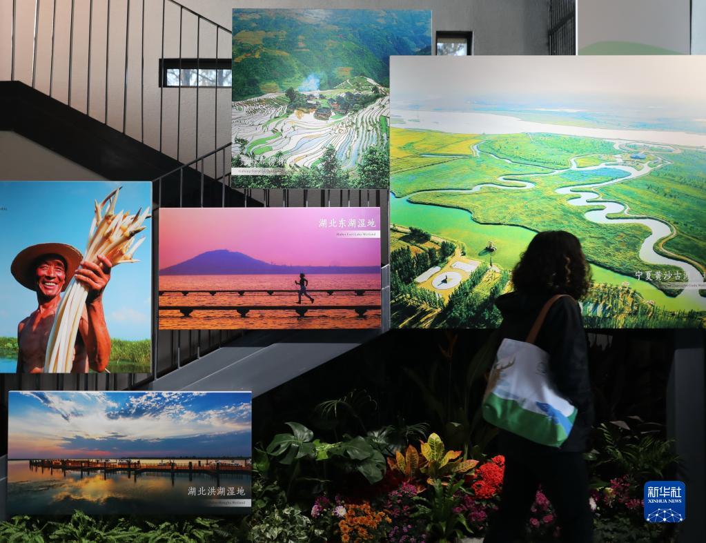新华全媒＋丨中国履行《湿地公约》30周年成就展在武汉开幕休闲区蓝鸢梦想 - Www.slyday.coM