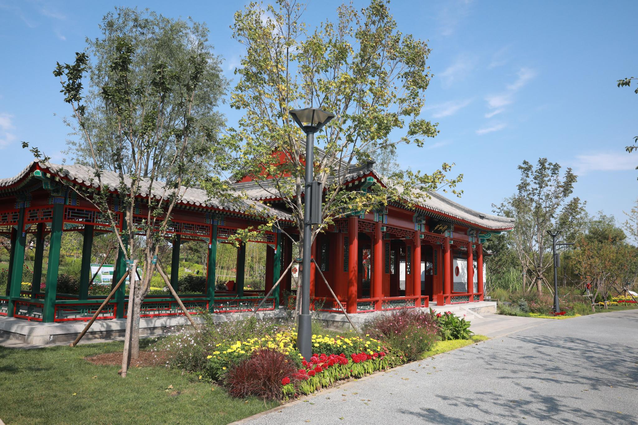 城市绿心打造近自然的森林景观滨水空间|森林公园|北京市_新浪新闻