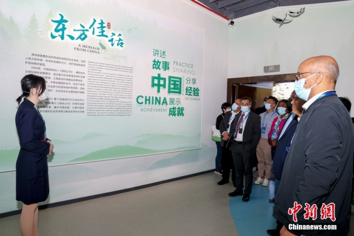 中国履行《湿地公约》30周年成就展在武汉揭幕休闲区蓝鸢梦想 - Www.slyday.coM
