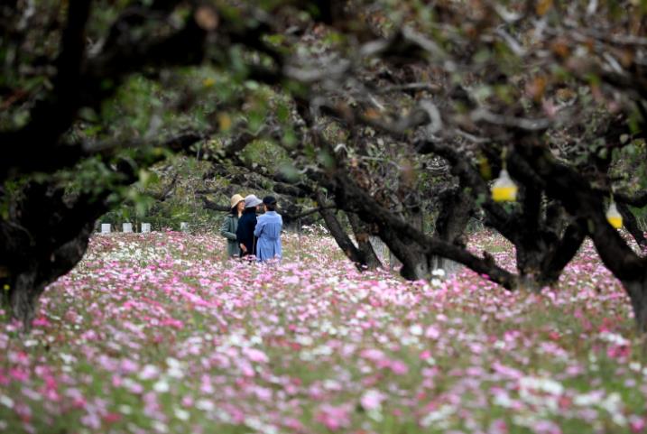 从立冬诗词，看南北方气温差异有多大休闲区蓝鸢梦想 - Www.slyday.coM