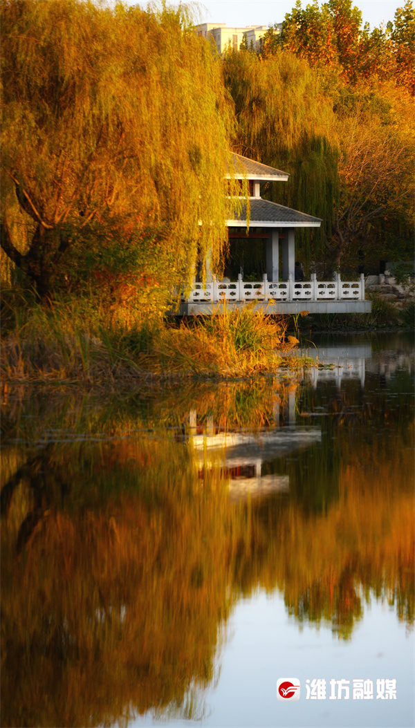 潍坊的晚秋，也太浪漫了吧！休闲区蓝鸢梦想 - Www.slyday.coM