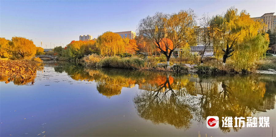 潍坊的晚秋，也太浪漫了吧！休闲区蓝鸢梦想 - Www.slyday.coM