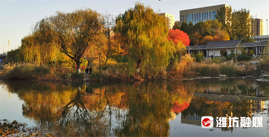 潍坊的晚秋，也太浪漫了吧！休闲区蓝鸢梦想 - Www.slyday.coM