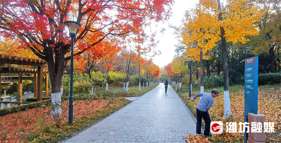 潍坊的晚秋，也太浪漫了吧！休闲区蓝鸢梦想 - Www.slyday.coM