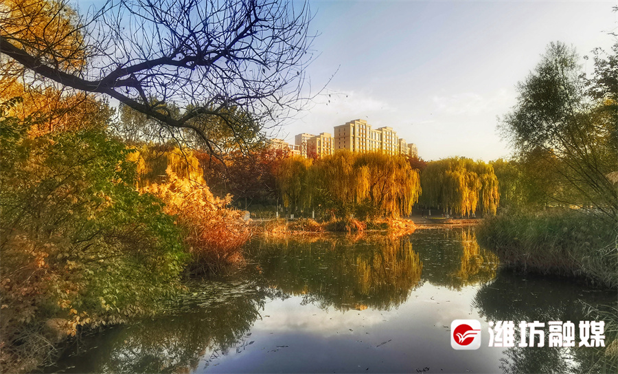 潍坊的晚秋，也太浪漫了吧！休闲区蓝鸢梦想 - Www.slyday.coM