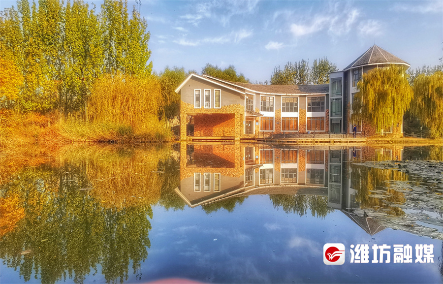 潍坊的晚秋，也太浪漫了吧！休闲区蓝鸢梦想 - Www.slyday.coM