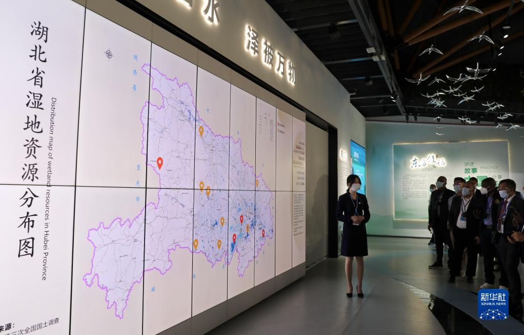 新华全媒＋丨中国履行《湿地公约》30周年成就展在武汉开幕休闲区蓝鸢梦想 - Www.slyday.coM