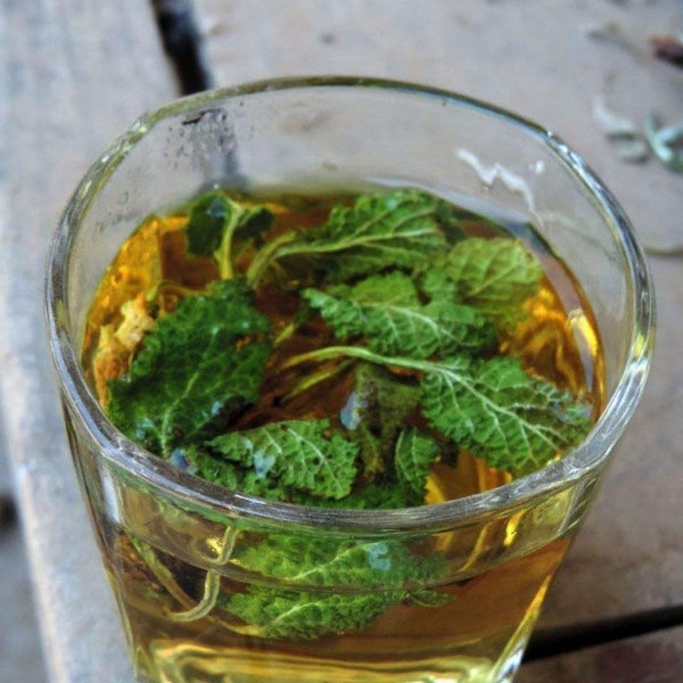 农村常见的蛤蟆草煮水作用厉害了,懂的人常拔回家,有啥价值呢?