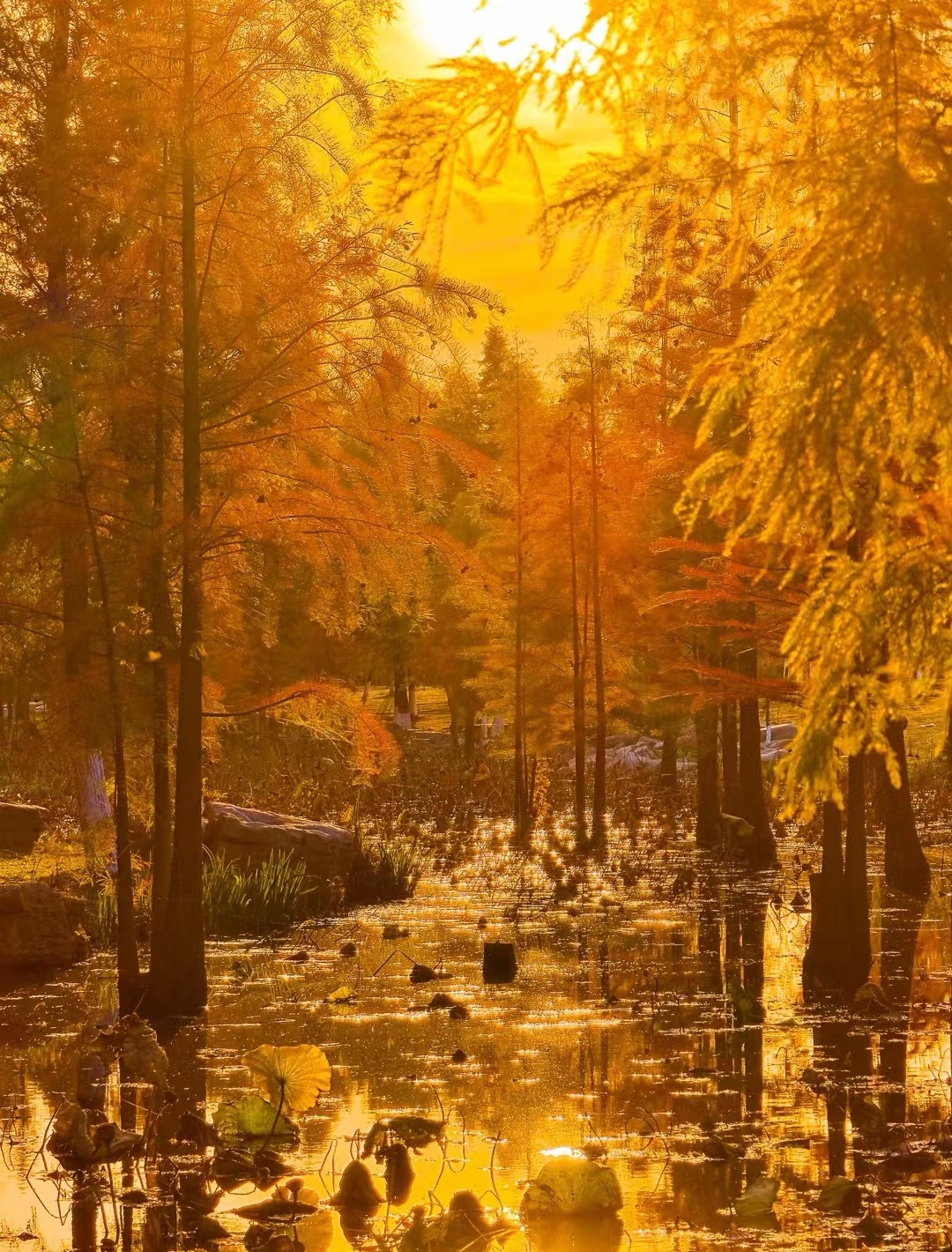 “在秋天，一起拍”第十二辑休闲区蓝鸢梦想 - Www.slyday.coM