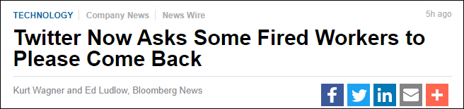 彭博社报道截图