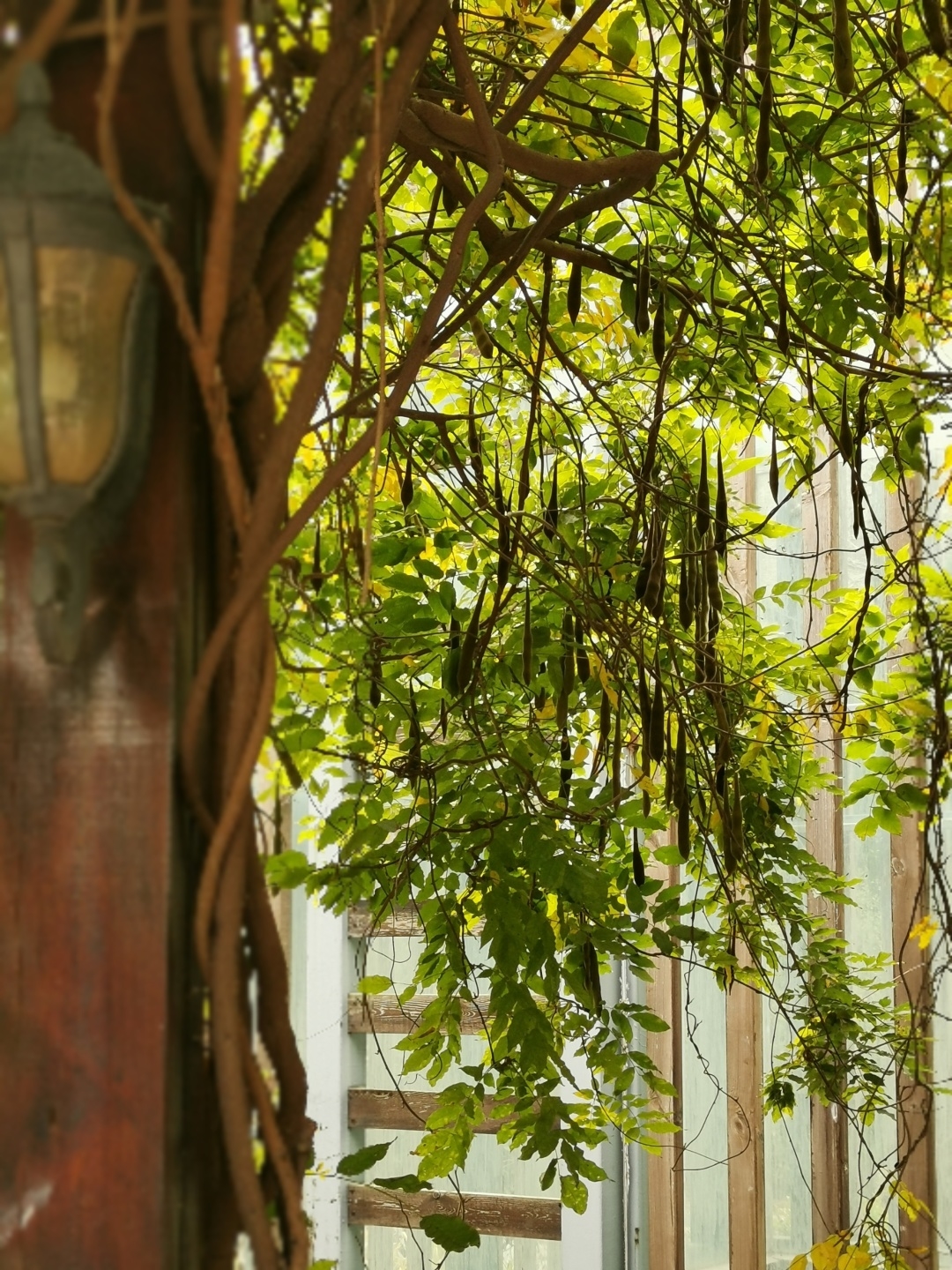 “在秋天，一起拍”第十二辑休闲区蓝鸢梦想 - Www.slyday.coM