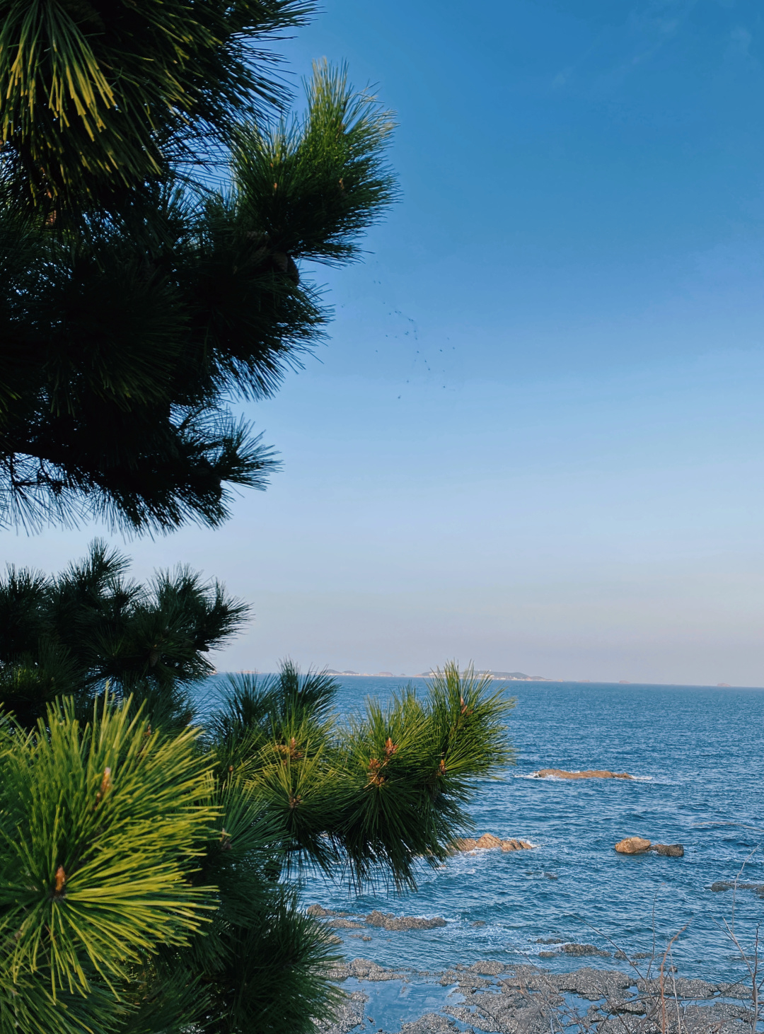 “在秋天，一起拍”第十二辑休闲区蓝鸢梦想 - Www.slyday.coM