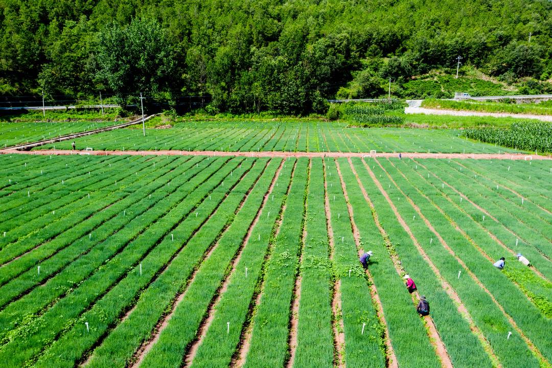 镜头下的大凉山：凉山州成立70周年县市风采——喜德县休闲区蓝鸢梦想 - Www.slyday.coM