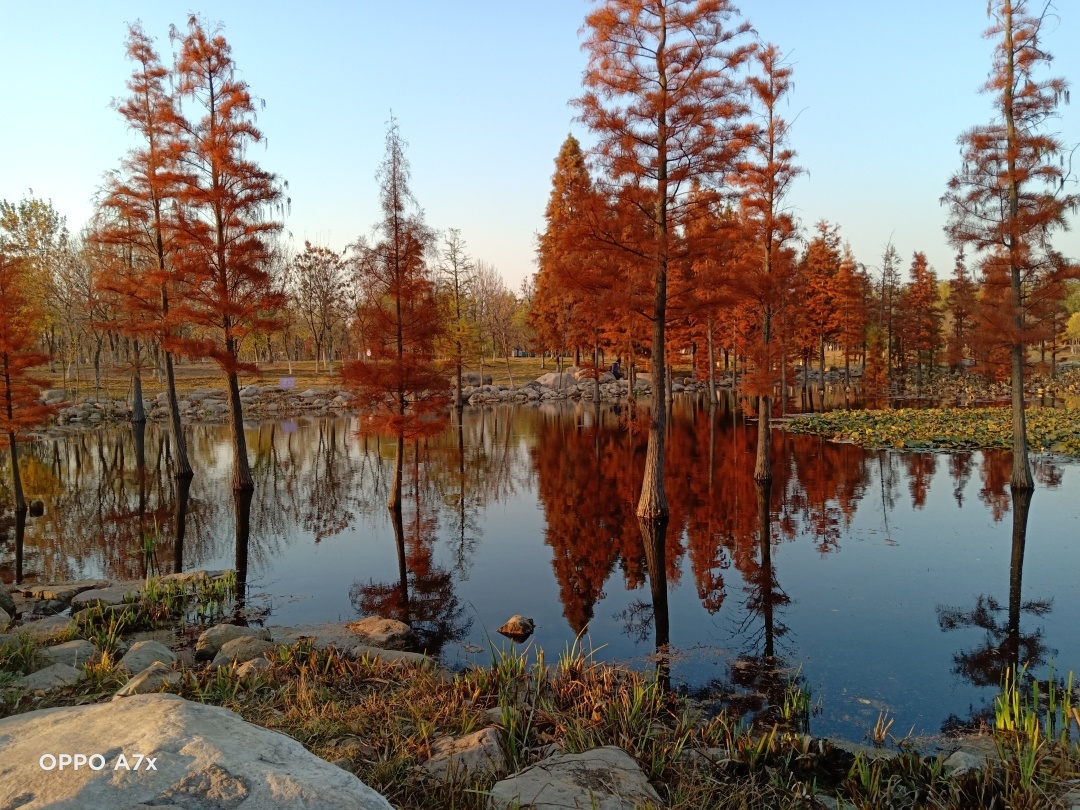 “在秋天，一起拍”第十二辑休闲区蓝鸢梦想 - Www.slyday.coM