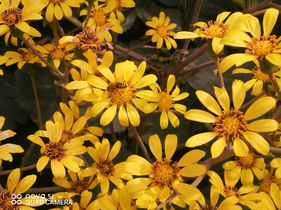 “在秋天，一起拍”第十二辑休闲区蓝鸢梦想 - Www.slyday.coM