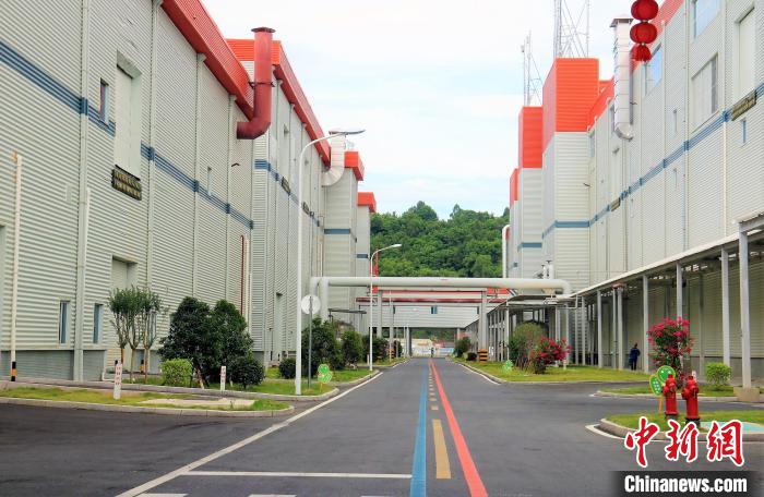 干货满满（福建万亿产业）福鼎招商引资项目，(图2)