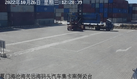 厦门海关截获“黑寡妇”活体！比响尾蛇毒十倍以上休闲区蓝鸢梦想 - Www.slyday.coM