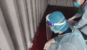 厦门海关截获“黑寡妇”活体！比响尾蛇毒十倍以上休闲区蓝鸢梦想 - Www.slyday.coM