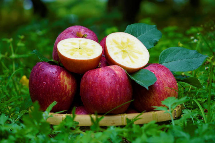 ios界面设计教程