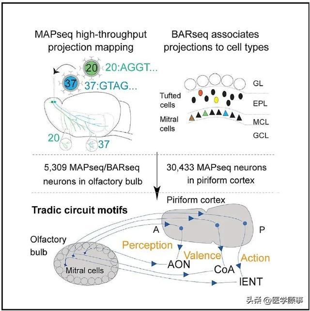 电视剧偏偏喜欢你改编自哪部小说 类似为何偏偏喜欢你的言情小说