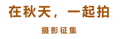 “在秋天，一起拍”第十二辑休闲区蓝鸢梦想 - Www.slyday.coM