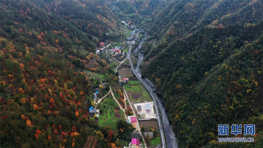 “重庆城口·渝陕之巅”全国自行车爬坡挑战赛开赛|彭博|重庆市_新浪新闻