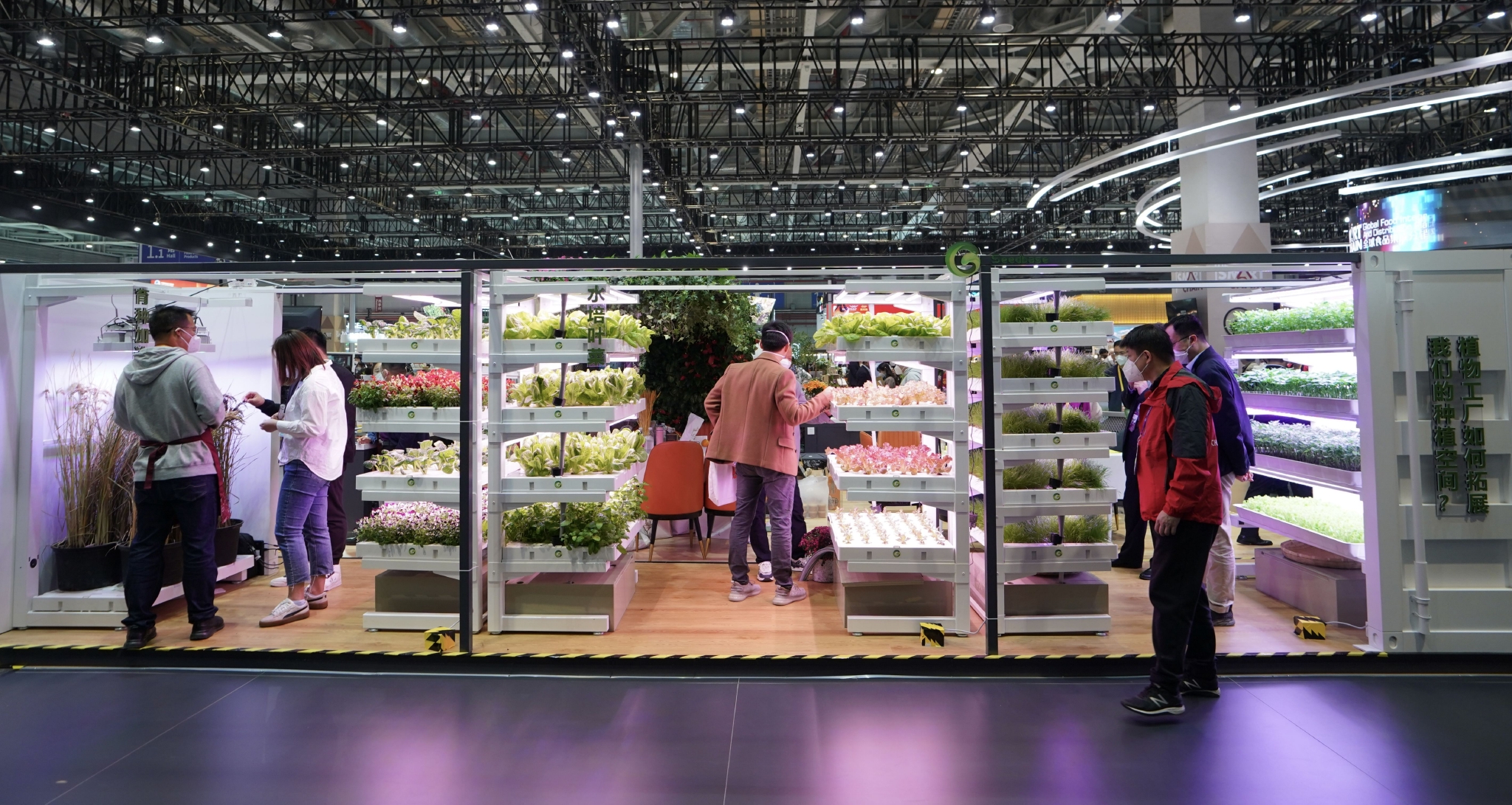 进博会上看"集装箱里种菜"__财经头条